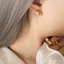 Hợp thời trang vòng bông tai nam nữ phong cách Hồng Kông, thép titan mạ vàng 18k