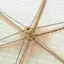 Vỏ Ăn Thoáng Khí Mới Có Thể Gập Lại Bàn Ăn Bao Đựng Thực Phẩm Chống Bụi Chống Côn Trùng Vỏ Rau Bao Dù