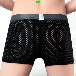 Nam Ice Silk Quần Lót Siêu Mỏng Thoáng Khí Thanh Niên Trong Suốt In Gạc Boxer Quần Đùi