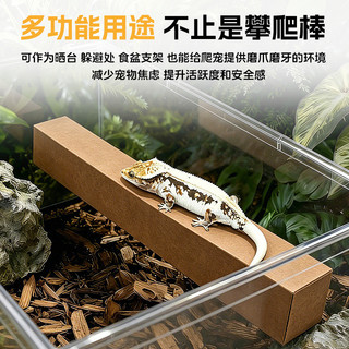 Gậy leo núi bò sát có thể cắt được Kết cấu tự nhiên Trang trí Terrarium cho tắc kè và thằn lằn
