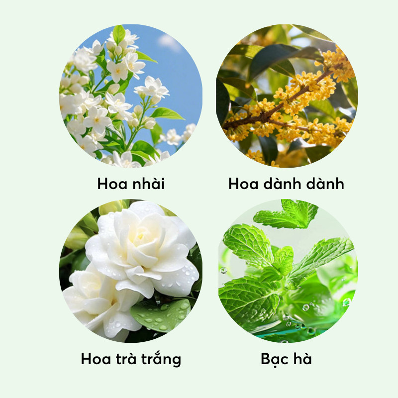 Áo Mưa EVA 1 Người Chống Nước DINO, Gấp Gọn Bỏ Túi, Nhẹ Thoáng Khí, Dùng Đi Học Du Lịch Concert