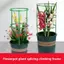 MAKY 1 Bộ Trellis Cà Chua Có Thể Điều Chỉnh Cọc Cây Vườn Trellis Cây Cà Chua Hỗ Trợ Lồng Cho Vườn Chậu Cây Trồng Tiếp Liệu VN
