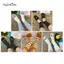 AqToCna Dễ Thương Sos Creative Garden Eel Mid Sos Weat Chống Mùi Thoáng Khí Cá Mập Mềm Sos Mới Lạ Mắt Cá Chân Chân Bao Phụ Kiện Quà Tặng AqToCna