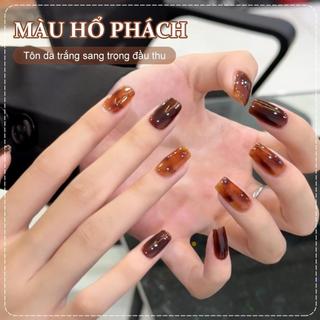 Miss Gooey Sơn Gel Màu Hổ Phách Hot Trend Mùa Thu Tôn Da Trắng Sang Trọng Đầu Thu Phối Đa Dạng Trang Phục Dành Cho Tiệm Nail Chuyên Nghiệp