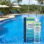 Bể bơi Nước trong suốt Máy làm sạch bể bơi Flocculant Inground Bể bơi Clarifier Bể bơi và Algaecide Máy làm sạch bể bơi Máy tính bảng làm sạch jiwvn