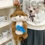 Túi đeo vai CPINCP, Ba lô sang trọng cá dễ thương thường ngày, Quà tặng túi học sinh dung tích lớn đa năng