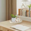 Dụng cụ sắp xếp mặt bàn chống trượt cho nước hoa Thiết kế bề mặt chống trượt và chống nước. Phụ kiện bàn văn phòng thanh lịch