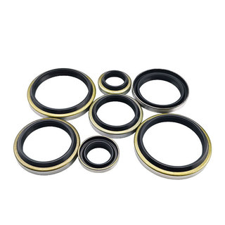 DK B-Loại Vỏ Sắt Chống Bụi Vòng Cho Xi Lanh Xi Lanh Đường Kính Bên Trong 18-175mm Niêm Phong Vòng Gioăng Dầu Chống Dầu JDSW