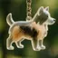 Bigapple Clear Puppy Hair Memorial Capsule Pet Fur Mặt dây chuyền Móc khóa Quà tặng lưu niệm RDG