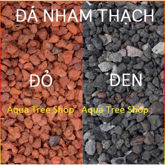 1kg Đá Nham Thạch Đỏ/ Đen Cho Sen Đá – Thoáng Rễ, Hạn Chế Úng