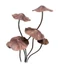 Ở Lại Trang Trí Sắt Nấm Cổ Phần Toadstool Mảng Bám Lý Tưởng Cho Sân Hoa Giường Vườn Con Đường Biên Giới Và Cảnh Quan