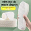 5 cặp lót giày, thấm hút mồ hôi và thoáng khí, thiết kế siêu mỏng, khử mùi hiệu quả.