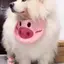 Chó Nước Bọt Khăn Thú Cưng Yếm Mùa Hè Chống Răng Tóc Chống Bẩn Khăn Tóc Vừa Lớn Vàng Retriever Satsuma Phụ Kiện Quần Áo