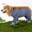 Giày bốt chống nước cho chó Bảo vệ chân ngoài trời Áo mưa chống bùn cho thú cưng Quần legging để đi bộ đường dài trong thời tiết ẩm ướt Quần chống bụi ngoài trời