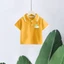 Áo Sơ Mi Polo Trẻ Em Clover Puppy In Hình Tay Ngắn Thường Ngày Hàng Ngày Mặc Cho Trẻ Em