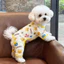 Quần Áo Cho Chó Teddy Bichon Đi Chơi Chó Đi Bộ Bốn Chân Chống Bụi Quần Chống Bẩn Mùa Xuân Mùa Hè Mỏng Áo D-ring Đi Chơi Lực Kéo