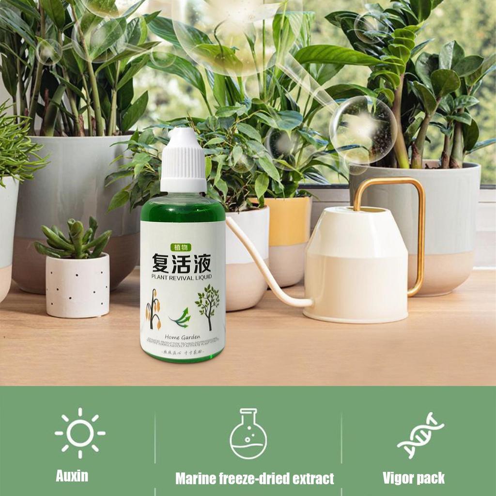 Máy kích thích rễ cây Phân bón dinh dưỡng rễ 50ml Chất lỏng tự nhiên cho đất Phân hủy hoa mueadsyvn