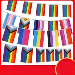ST2 10 mét 14x21cm Cờ cầu vồng LGBT Nhiều màu sắc Dây cờ Gay Pride Parade TS2