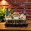 Vườn Gnome Ký Hiệu Chào Mừng Tượng Ngoài Trời Nhựa Yêu Tinh Tượng Trang Trí Bãi Cỏ Vui Nhộn Cho Sân hiên hiên