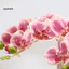 Linh hồn| Nhánh Hoa Nhựa Thực Tế Hoa Lan Nhân Tạo Cảm Ứng Thật Hoa Lan Giả 5 Đầu Phalaenopsis Lụa Hoa Nhân Tạo Cho Văn Phòng Tại Nhà Trang Trí Trong Nhà Bàn