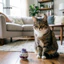 Linh hồn| Cat Whisker Storage Cat Beard Vase Handmade Mini Ceramic Cat Whisker Vase – Giá đỡ chậu hoa nhỏ cho chó Mèo Đồ lưu niệm thú cưng dễ thương Quà tặng trang trí thu nhỏ cho gia đình
