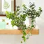VVDZA Cây Trellis, Khung Leo Sân Vườn Thiết Kế Hình Lá Chống Rỉ, Nhựa Bền Hỗ Trợ Cho Cây Nho Trong Chậu Hoa Trellis Trong Nhà Ngoài Trời