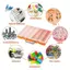 Hộp đựng đồ nhựa lớn 48 ô lưới, có ngăn chia điều chỉnh được, tiện lợi cho việc đựng hạt