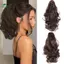 Springevenstar Kẹp Đuôi Ngựa Tóc Dài Sóng Tự Nhiên Phù Hợp Văn Phòng Hoặc Trường Học