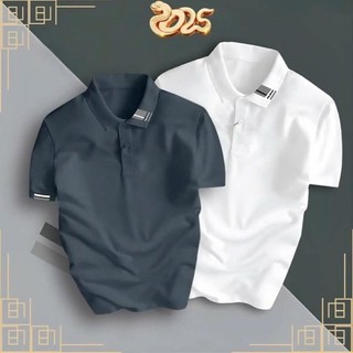 COMBO 2 ÁO THUN POLOMAN VẢI THUN CÁ SẤU POLY THÁI 4 CHIỀU