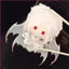 YT4 Tình Yêu Và deepspace Sylus Plushie Trò Chơi Otome Dễ Thương Merch Cánh Bạc Demon Dragon Sang Trọng Túi Charm