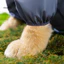Giày bốt chống nước cho chó Bảo vệ chân ngoài trời Áo mưa chống bùn cho thú cưng Quần legging để đi bộ đường dài trong thời tiết ẩm ướt Quần chống bụi ngoài trời