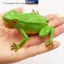 MAKY Giả Đồ Chơi Mô Phỏng Ếch Mô Hình Động Vật Đồ Chơi Toad Triy Đáng Sợ Bóp Âm Thanh Ếch Đồ Chơi Cho Trẻ Em Sở Thích Bộ Sưu Tập Đồ Chơi VN