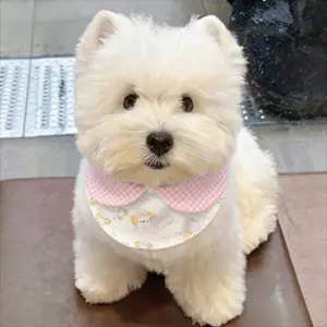 Thú Cưng Chó Yếm Nước Bọt Khăn Mèo Chó Nhỏ Yếm Màu Hồng Chó Con Miệng Chống Bụi Bẩn Có Thể Điều Chỉnh