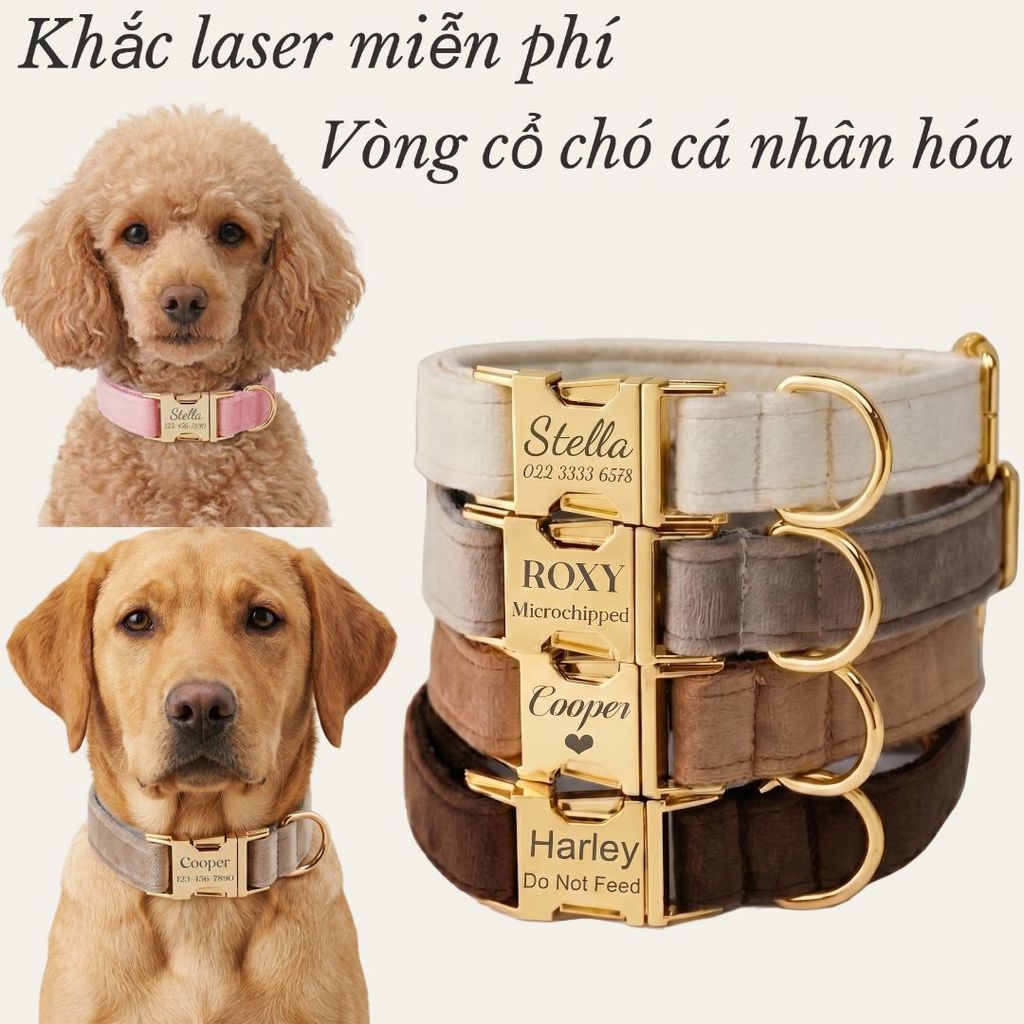 Vòng cổ nhung chó con khắc tên, thẻ tên, bộ cổ và dây xích