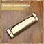 10 Lỗ 20 Tone G Key Harmonica Blues Nhạc Cụ Diatonic Harp Có Hộp Bảo Quản Vàng