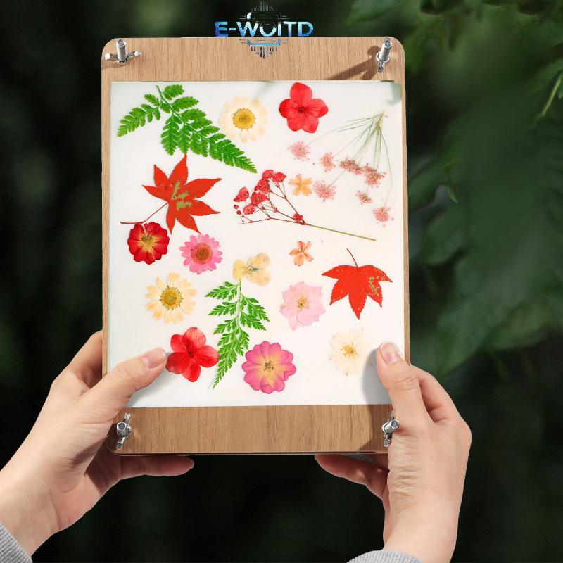 Bộ ép hoa E-WOITD 5 lớp Hoa gỗ ép đầy đủ Bộ bảo quản hoa ép lá cho đồ thủ công DIY Làm cây khô E-WOITD
