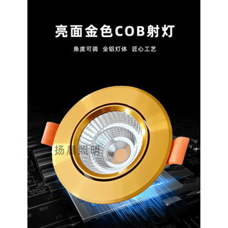 Vàng Đèn led Lỗ Nhúng Ánh Sáng Sang Trọng Trang Trí Khách Sạn Phòng Khách Nghiên Cứu Trần Đèn cob Downlight