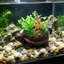Bể Cá Đá Bong Bóng Tôm Nhân Tạo Rùa Cho Bể Cá Terrarium