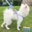 【Ready Stock】 Dog Hand Holding Rope Teddy Bichon Pomeranian Anti Breaking Loose Dog Chain Dog Rope Go out Cute Dog Leash jhkl