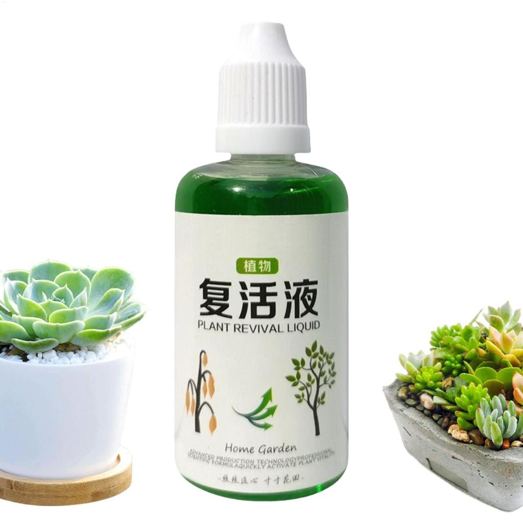 Máy kích thích rễ cây Phân bón dinh dưỡng rễ 50ml Chất lỏng tự nhiên cho đất Phân hủy hoa mueadsyvn