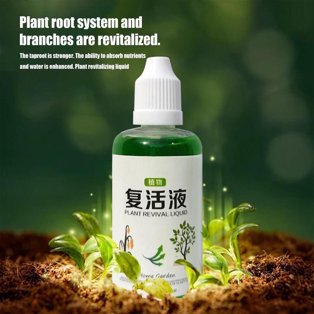 Máy kích thích rễ cây Phân bón dinh dưỡng rễ 50ml Chất lỏng tự nhiên cho đất Phân hủy hoa mueadsyvn