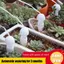 TRTR Máy tưới nước tự tưới nước Hệ thống tưới nhỏ giọt Đầu dò tưới nước tự động Hộ gia đình Thiết bị tưới cây trồng trong nhà VN