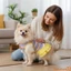 Đầm sọc mùa hè cho chó Trang trí nơ thú cưng dễ thương Váy xếp nếp không tay cho chó nhỏ vừa lớn