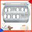 Thú cưng Bò sát thằn lằn tắc kè Rắn 12 lưới Trứng ấp trứng Hộp nhân giống Hộp ấp trứng