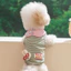 Chó Con Quần Áo 2026 Bichon Schnauzer Teddy Thú Cưng Mèo Mùa Xuân Mùa Hè Áo Mỏng
