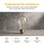 CATMALLER88 2 Gói Bóng Đèn Dây Tóc LED, 220V CRI 80 + Bóng Đèn LED, Kính A60 Hiệu Quả Năng Lượng 360 Độ Chùm Góc Bóng Đèn Thanh