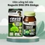 Viên uống bổ não DHA EPA Ginkgo Noguchi Nhật Bản 60 viên, hỗ trợ tuần hoàn, tăng cường trí nhớ