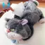 Phim hoạt hình Bad Cat Car Đồ chơi sang trọng, Hộp khăn tay gia đình và ô tô, Bộ ngăn kéo khăn giấy búp bê