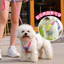 Mùa Hè Dobamine Chó Ngực Lưng Dây Xích Chó Nhỏ Chó Teddy Bichon Chó Con Dây Xích Chó Chống Chia Tay Đi Chơi Dây Đeo Cho Chó