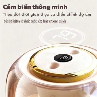 Máy Tạo Độ Ẩm Mini Xịt Kép 2L Dung Tích Lớn Yên Tĩnh Nhiều Màu Sắc Đèn Ngủ Phòng Ngủ Văn Phòng Chạy Bằng USB